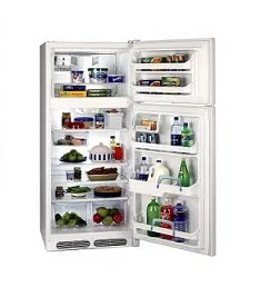 Frigidaire FGTG18V7GW Top Mount Refrigerator 220V