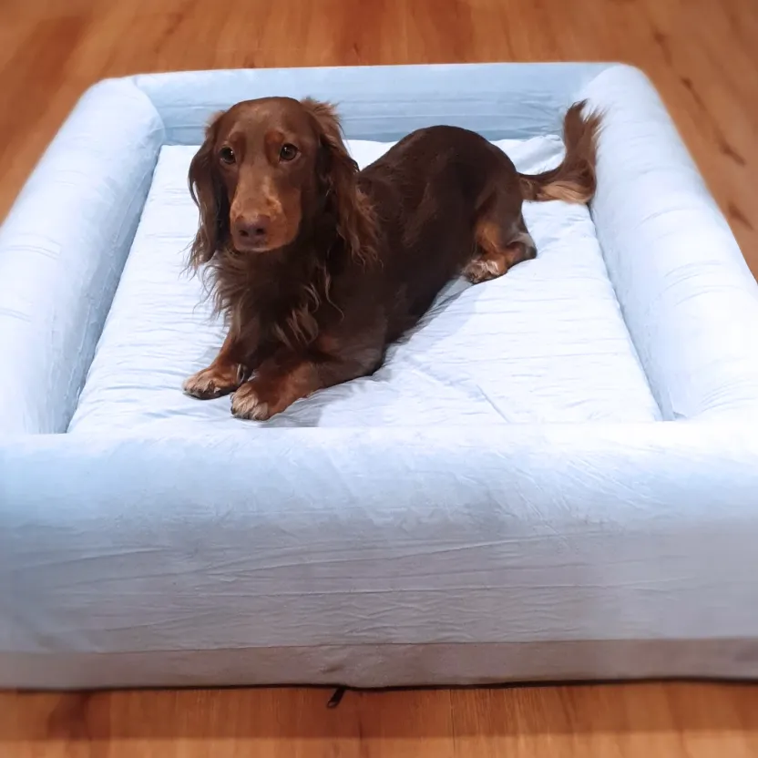 Orthopedic Memory Foam Dog Bed - Sky Blue (Small)